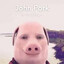 John Pork