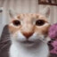 John Purr
