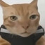Noobi