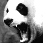 &gt;&gt;&gt;PaNdA&lt;&lt;&lt;