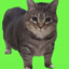 Ethel