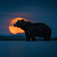 BearsMaulThings