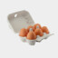 Egg Carton