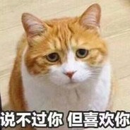 蛤丝永不续命