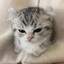 あぁあぁあぁああぁあ