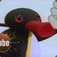 high pingu