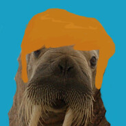 I am the walrus
