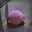 KillerKirby