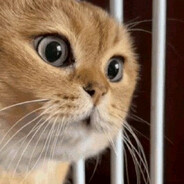 开局白嫖山威工厂