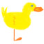 duck