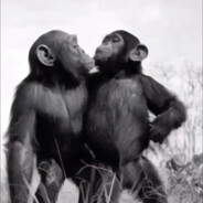 八十岁退休老干部