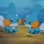 A Level 100 Mudkip