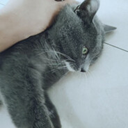 三月下雪，五月胜寒