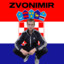 Ludi Zvonimir