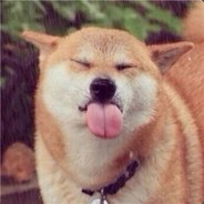 蚊子很凶