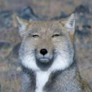 Lev5ky - steam id 76561199819009636