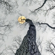 今天去捉宝可梦