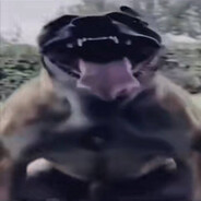 Мага каменный