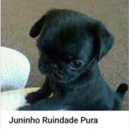 Juninho ruindade pura