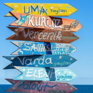 萌新——数字串