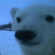 ⚡Junior REKINUS⚡