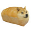 DOGEEEEEEEEEEEEEEEEEEEEEEEEEEEEE