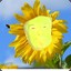 TheHolySunflower