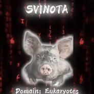 svinote/240peek svinote_peek