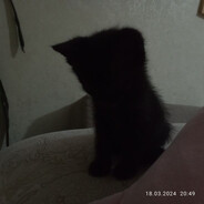 profile