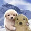 FoieGrasTube5u♡ྀིㅤ♡ྀིㅤ♡ྀི