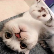 萝卜牌妖怪
