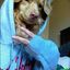 Skadoodle