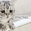 XPEHOBbIY's avatar