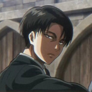 Levi