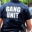 Gang Unit