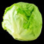 EnigmaticLettuce