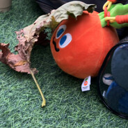 魔魔胡胡胡蘿蔔