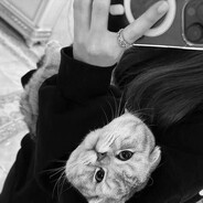 katitee - steam id 76561198978609047