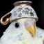 Birb