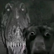 1𝖊𝕶𝖍𝖔𝖆