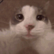 我是超级无敌大王