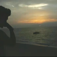 母猪的产后护理