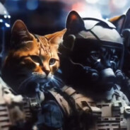 一天要睡十小时