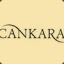Cankara