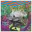 Animal Collective