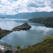 团总的百万粉丝