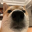 墨熙