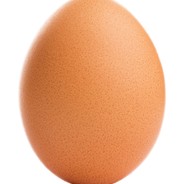 Egg