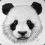 Der_Panda