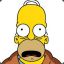 Dr.Homer